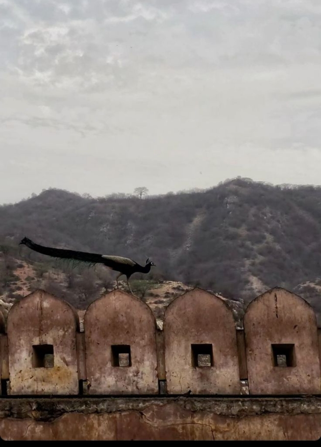 Rajasthan During Monsoon