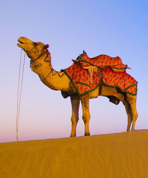 Jaisalmer